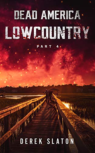 Lowcountry Pt. 4 cover