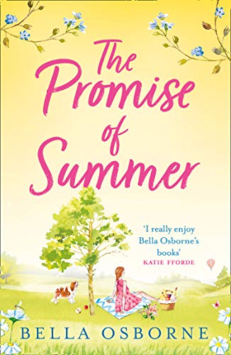 The Promise of Summer book cover