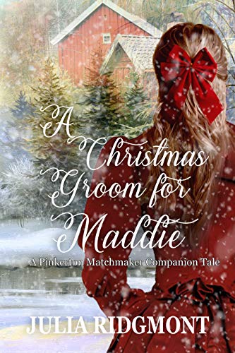 A Christmas Groom for Maddie (By: Julia Ridgmont) cover