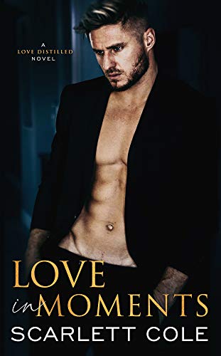 Love In Moments book cover
