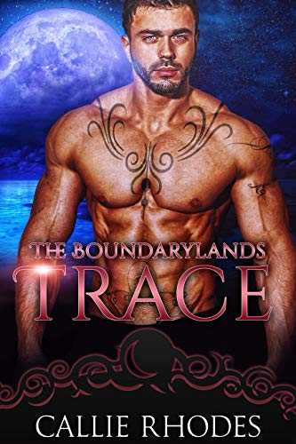 Trace book cover