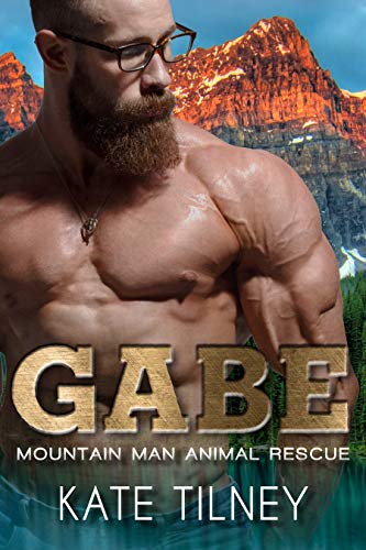 Gabe book cover