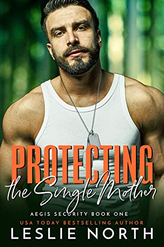 Protecting the Single Mother book cover