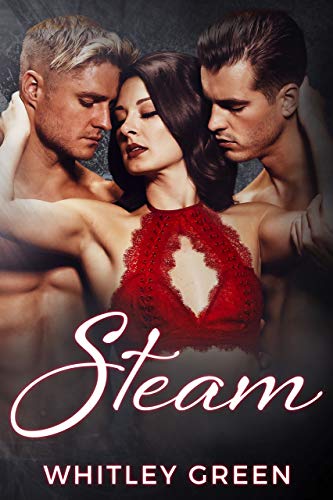 Steam book cover