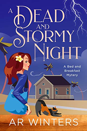 A Dead And Stormy Night book cover