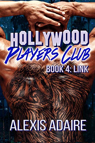 Link book cover