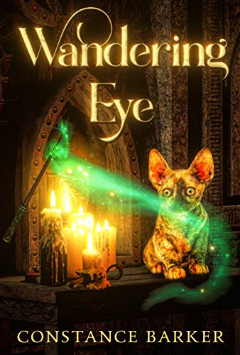 Wandering Eye book cover