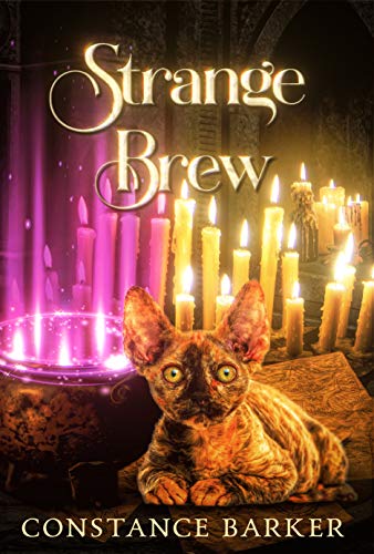 Strange Brew book cover