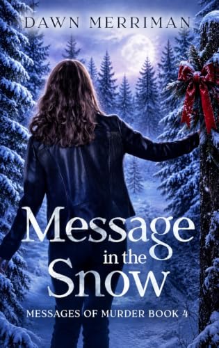 Message in the Snow book cover
