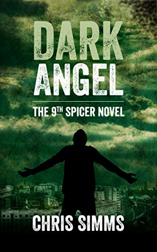 Dark Angel book cover
