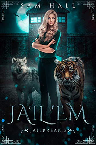 Jail 'Em book cover