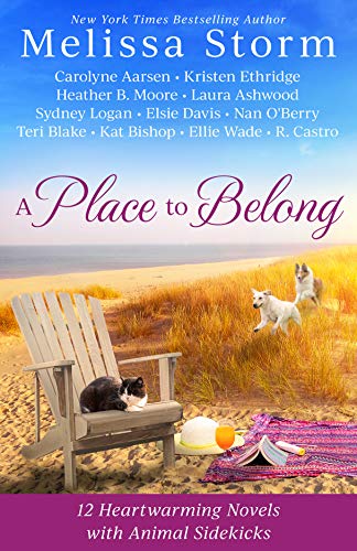 A Place to Belong book cover