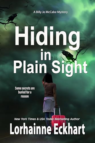 Hiding in Plain Sight book cover
