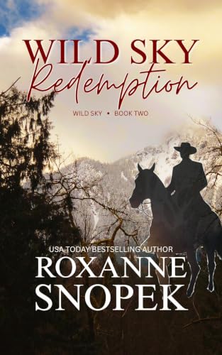 Wild Sky Redemption book cover