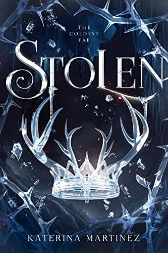 Stolen book cover
