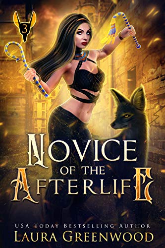Novice Of The Afterlife book cover