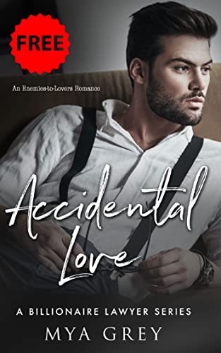 Accidental Love book cover