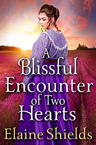 A Blissful Encounter of Two Hearts book cover