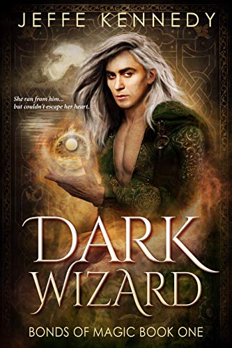 Dark Wizard book cover