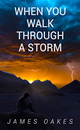 When You Walk Through A Storm: A heartbreaking true life story, chronicling how two people struggle for survival against all the odds. book cover