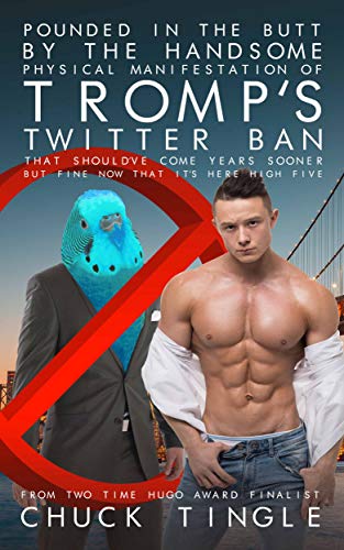 Pounded In The Butt By The Handsome Physical Manifestation Of Tromp's Twitter Ban That Should've Come Years Sooner But Fine Now That It's Here High Five book cover