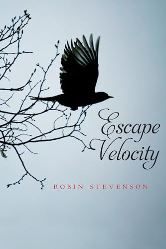 Escape Velocity book cover