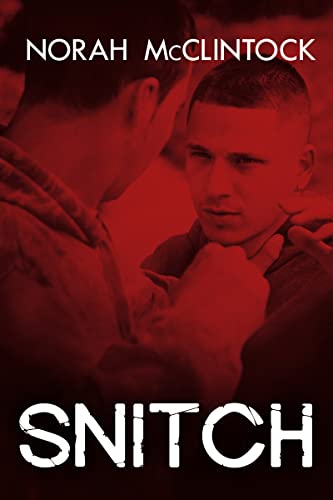 Snitch book cover