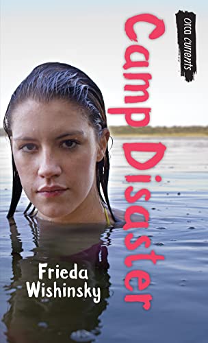 Camp Disaster book cover