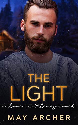 The Light book cover