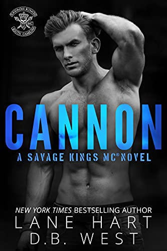 Cannon cover