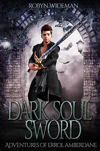 Dark Soul Sword book cover