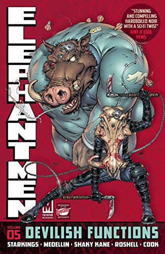 Devilish Functions book cover