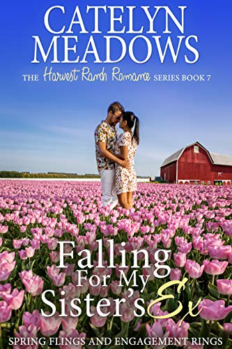 Falling For My Sister's Ex cover