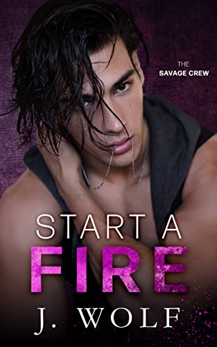 Start a Fire book cover