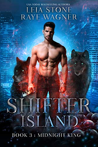 Midnight King book cover