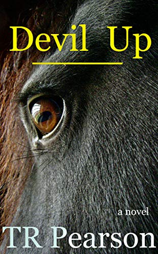 Devil Up book cover