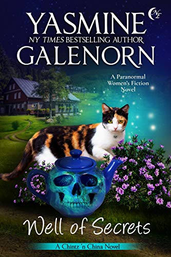Well of Secrets book cover