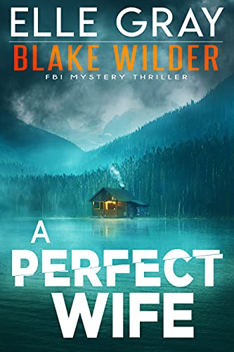A Perfect Wife book cover