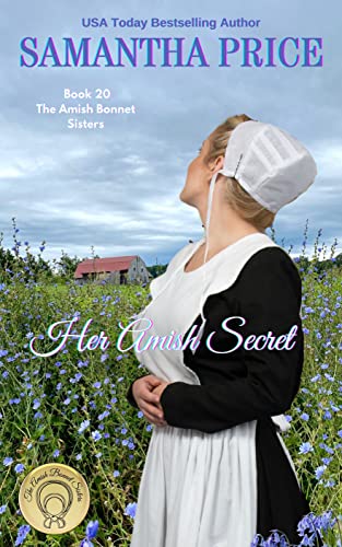 Her Amish Secret book cover