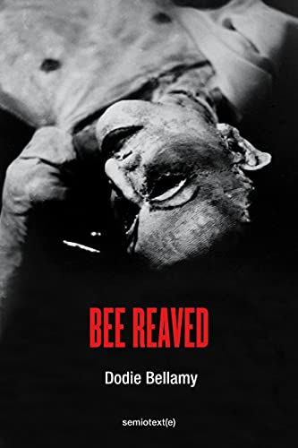 Bee Reaved book cover