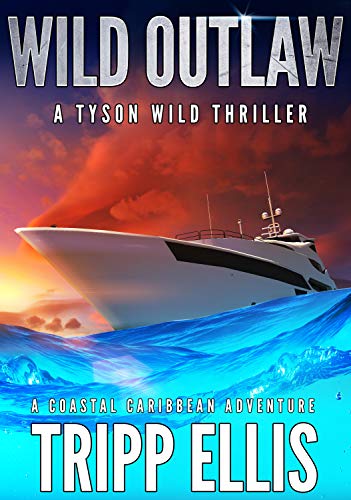 Wild Outlaw book cover