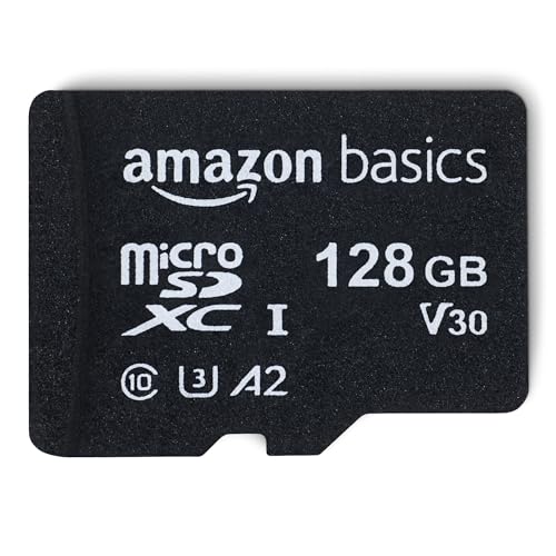 SanDisk 256GB Endurance microSDXC for Dash Cams