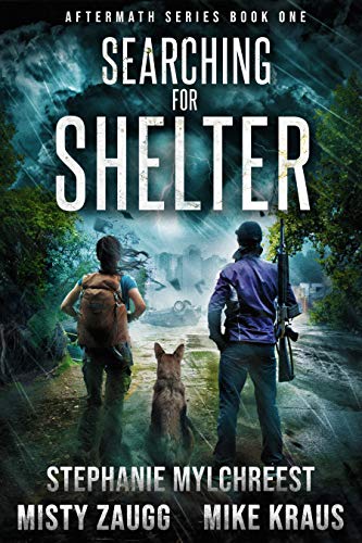 Searching for Shelter book cover