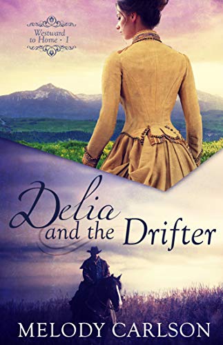 Delia and the Drifter book cover