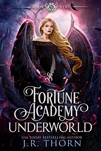Fortune Academy Underworld: Book Nine book cover