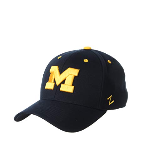 Zephyr ZHATS Men's Standard Stretch Fitted Hat Team Color, Large