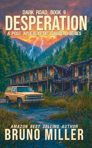 Desperation book cover