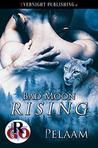 Bad Moon Rising book cover