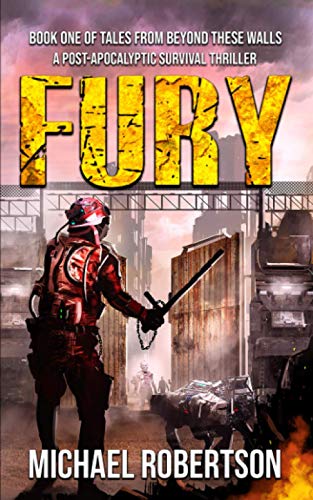 Fury book cover