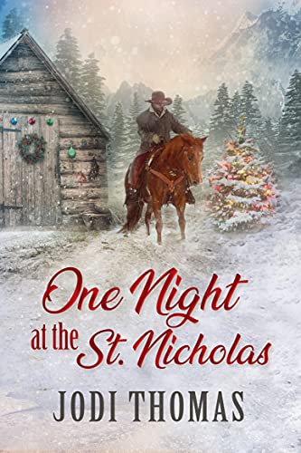 One Night at the St. Nicholas cover